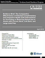 Evidence Brief: The Comparative Effectiveness of Selected Complementary and Integrative Health (CIH) Interventions for Preventing or Reducing Opioid Use in Adults with Chronic Neck, Low Back, and Large Joint Pain