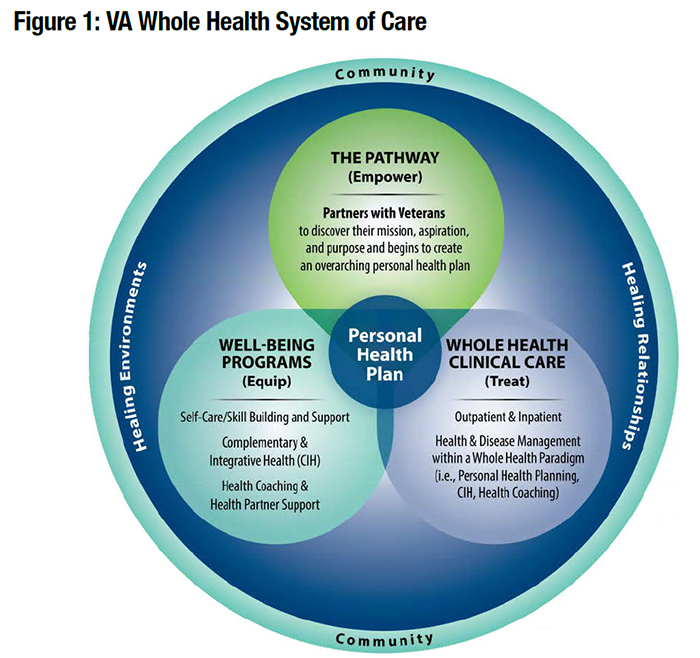 Figure 1:  VA Whole Health System of Care
