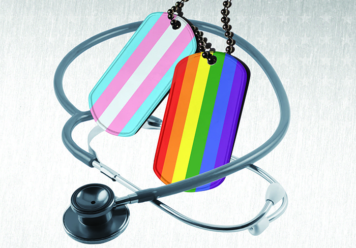 Improving Healthcare for LGBTQ Veterans