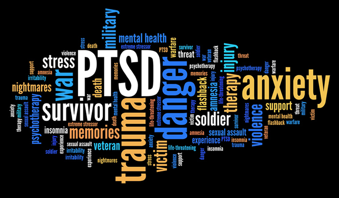 Improving Healthcare for Veterans with PTSD