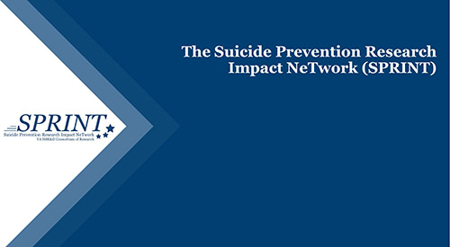 Suicide Prevention Research Impact Network