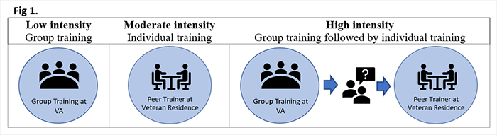 peer-led intervention prototype (Fig. 1)