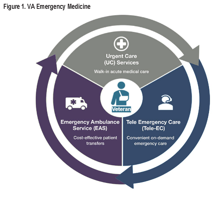 Figure 1. VA Emergency Medicine