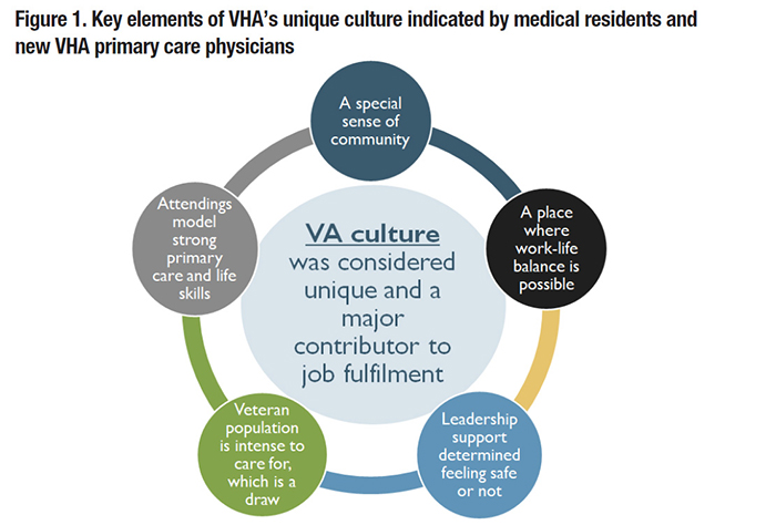 Figure 1. Key elements of VHA's unique culture indicated by medical residents and new VHA primary care physicians 