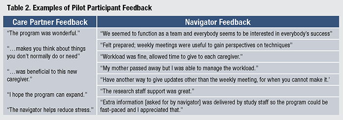 Table 2. Examples of Pilot Participant Feedback