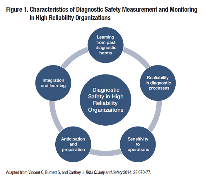 Characteristics of Diagnostic Safety Measurement and Monitoring
in High Reliability Organizations