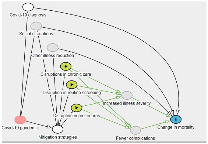 Figure 1. Conceptual Framework of the Impact of Disruption in Care on Changes in Mortality