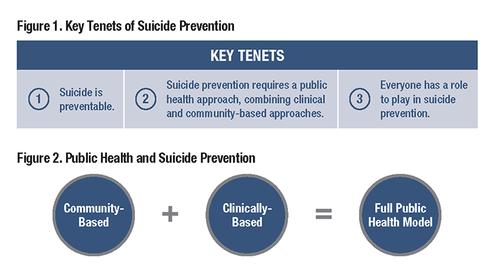 Figure 1. Key Tenets of Suicide Prevention
