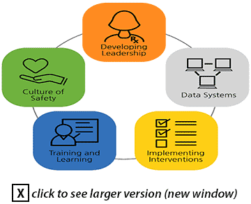 Developing Leadership, Data Systems, Implementing Interventions, Training and Learning, and Culture of Safetly