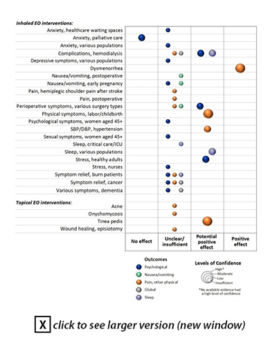 Inhaled EO interventions