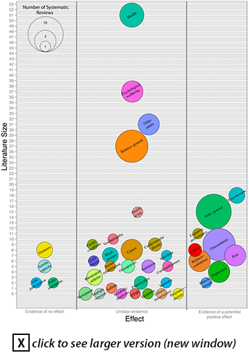 Tai Chi Bubble Plot: the most promising results across existing reviews were documented for three research areas with a large research base: hypertension, fall prevention outside of institutions, and cognitive performance. 